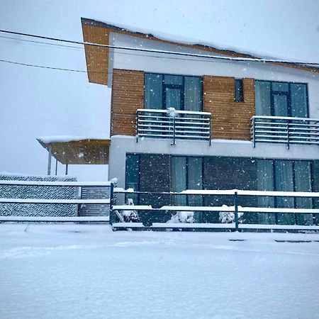 Cottage Marta Sadgeri Borjomi ภายนอก รูปภาพ